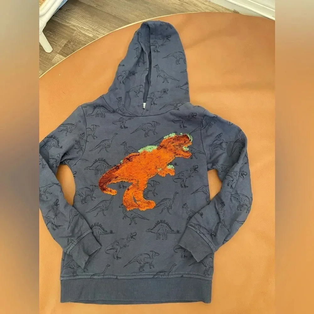 H&m sweater dinosaur Hoodie boys